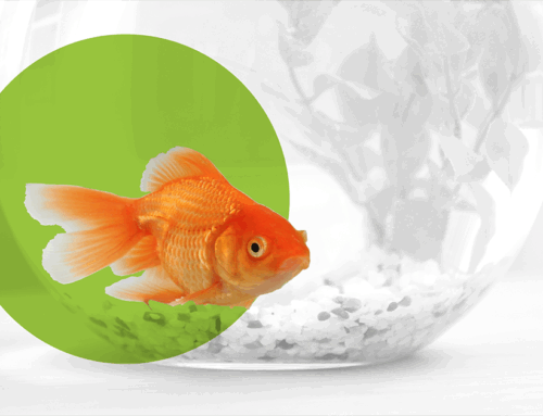 4 Consumer Behavior Trends Changing the Difficulty of Market Research