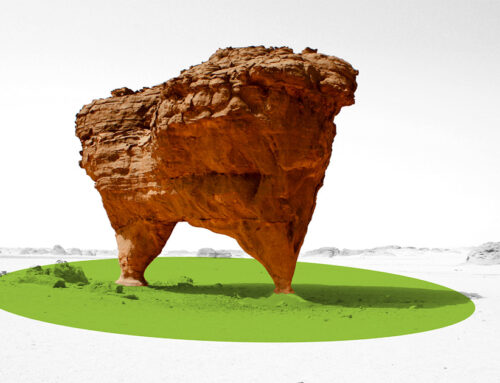 Rebuilding Trust: 4 Industry Leaders Tackle Data Quality Crisis